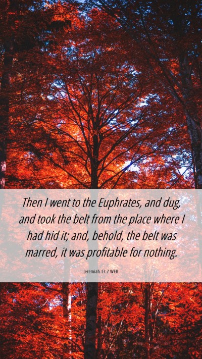 Picture 06 - Jeremiah 13:7 WEB Mobile Phone Wallpaper - Then I went to the Euphrates, and dug, and took - Mobile Bible Verse Wallpaper