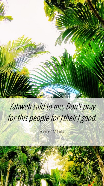 Picture 06 - Jeremiah 14:11 WEB Mobile Phone Wallpaper - Yahweh said to me, Don't pray for this people for - Mobile Bible Verse Wallpaper