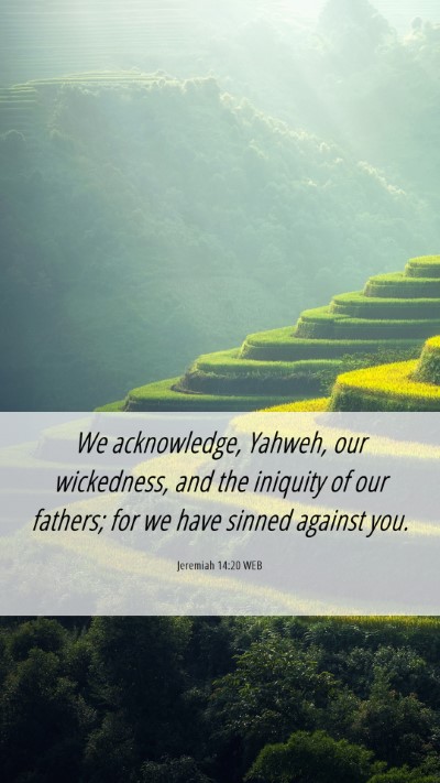 Picture 06 - Jeremiah 14:20 WEB Mobile Phone Wallpaper - We acknowledge, Yahweh, our wickedness, and the - Mobile Bible Verse Wallpaper