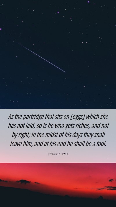 Picture 06 - Jeremiah 17:11 WEB Mobile Phone Wallpaper - As the partridge that sits on [eggs] which she - Mobile Bible Verse Wallpaper
