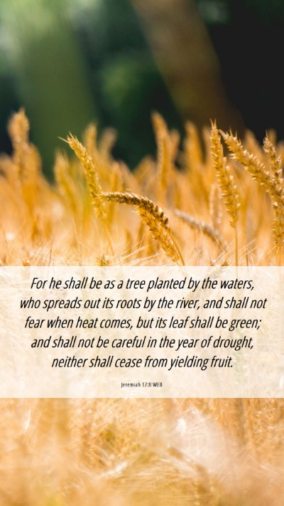 Picture 06 - Jeremiah 17:8 WEB Mobile Phone Wallpaper - For he shall be as a tree planted by the waters, - Mobile Bible Verse Wallpaper