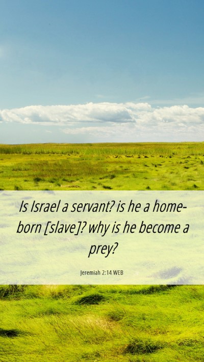 Picture 06 - Jeremiah 2:14 WEB Mobile Phone Wallpaper - Is Israel a servant? is he a home-born [slave]? - Mobile Bible Verse Wallpaper