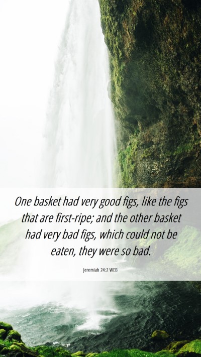 Picture 06 - Jeremiah 24:2 WEB Mobile Phone Wallpaper - One basket had very good figs, like the figs that - Mobile Bible Verse Wallpaper