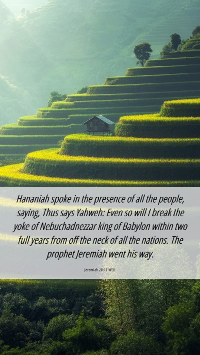 Picture 06 - Jeremiah 28:11 WEB Mobile Phone Wallpaper - Hananiah spoke in the presence of all the people, - Mobile Bible Verse Wallpaper
