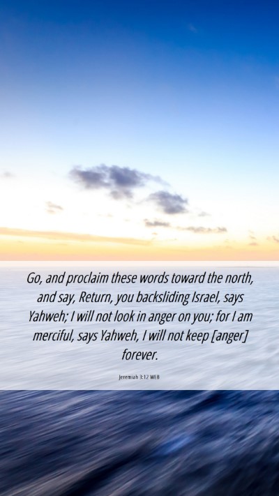 Picture 06 - Jeremiah 3:12 WEB Mobile Phone Wallpaper - Go, and proclaim these words toward the north, - Mobile Bible Verse Wallpaper
