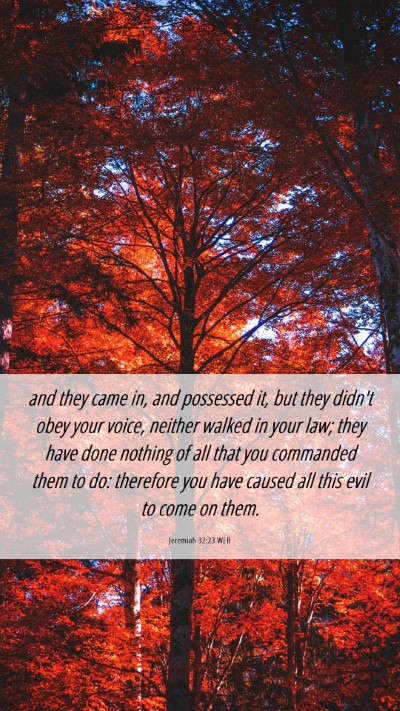 Picture 06 - Jeremiah 32:23 WEB Mobile Phone Wallpaper - and they came in, and possessed it, but they - Mobile Bible Verse Wallpaper