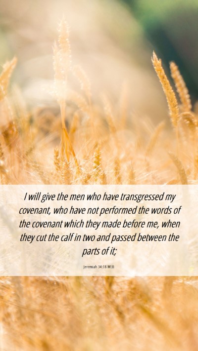 Picture 06 - Jeremiah 34:18 WEB Mobile Phone Wallpaper - I will give the men who have transgressed my - Mobile Bible Verse Wallpaper