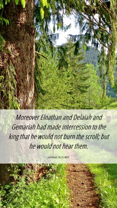 Picture 06 - Jeremiah 36:25 WEB Mobile Phone Wallpaper - Moreover Elnathan and Delaiah and Gemariah had - Mobile Bible Verse Wallpaper