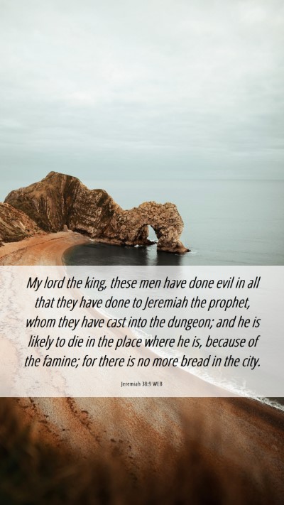 Picture 06 - Jeremiah 38:9 WEB Mobile Phone Wallpaper - My lord the king, these men have done evil in all - Mobile Bible Verse Wallpaper