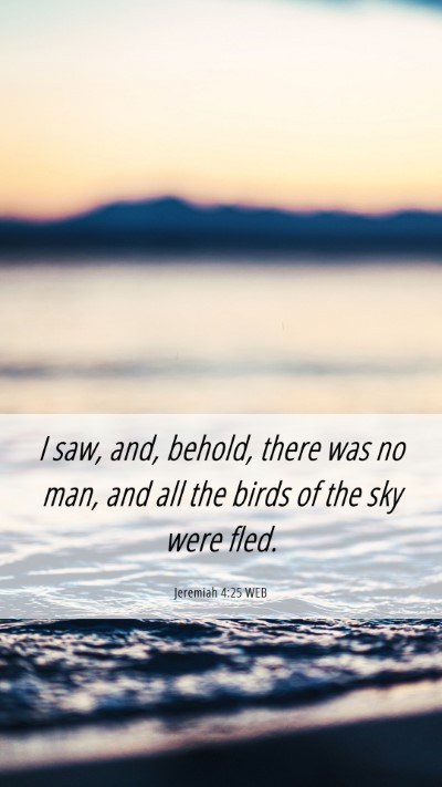 Picture 06 - Jeremiah 4:25 WEB Mobile Phone Wallpaper - I saw, and, behold, there was no man, and all the - Mobile Bible Verse Wallpaper