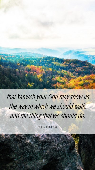 Picture 06 - Jeremiah 42:3 WEB Mobile Phone Wallpaper - that Yahweh your God may show us the way in which - Mobile Bible Verse Wallpaper