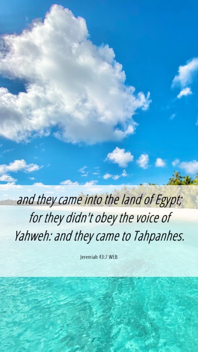 Picture 06 - Jeremiah 43:7 WEB Mobile Phone Wallpaper - and they came into the land of Egypt; for they - Mobile Bible Verse Wallpaper