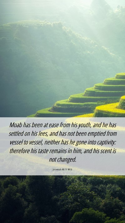 Picture 06 - Jeremiah 48:11 WEB Mobile Phone Wallpaper - Moab has been at ease from his youth, and he has - Mobile Bible Verse Wallpaper