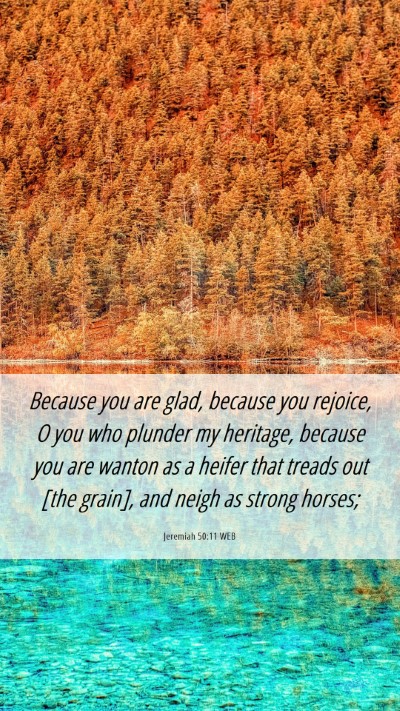 Picture 06 - Jeremiah 50:11 WEB Mobile Phone Wallpaper - Because you are glad, because you rejoice, O you - Mobile Bible Verse Wallpaper