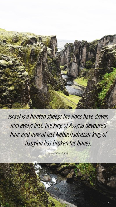 Picture 06 - Jeremiah 50:17 WEB Mobile Phone Wallpaper - Israel is a hunted sheep; the lions have driven - Mobile Bible Verse Wallpaper