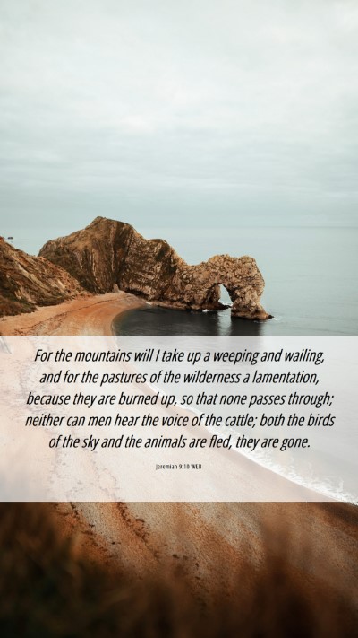 Picture 06 - Jeremiah 9:10 WEB Mobile Phone Wallpaper - For the mountains will I take up a weeping and - Mobile Bible Verse Wallpaper
