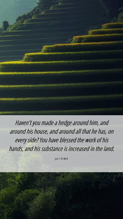 Picture 06 - Job 1:10 WEB Mobile Phone Wallpaper - Haven't you made a hedge around him, and around - Mobile Bible Verse Wallpaper