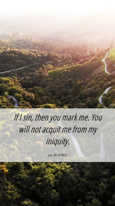 Picture 06 - Job 10:14 WEB Mobile Phone Wallpaper - If I sin, then you mark me. You will not acquit - Mobile Bible Verse Wallpaper