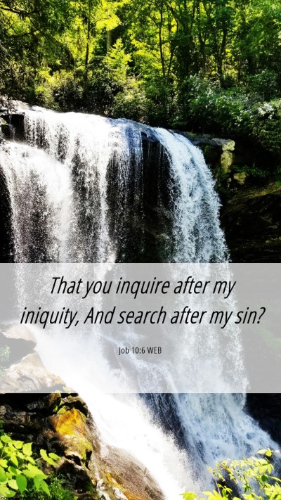 Picture 06 - Job 10:6 WEB Mobile Phone Wallpaper - That you inquire after my iniquity, And search - Mobile Bible Verse Wallpaper