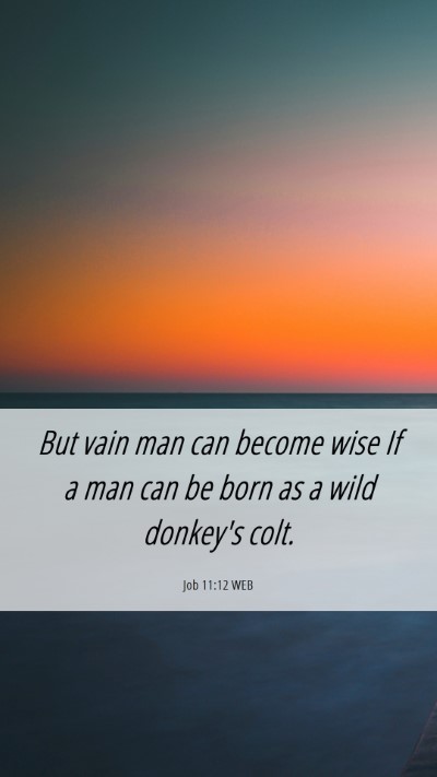Picture 06 - Job 11:12 WEB Mobile Phone Wallpaper - But vain man can become wise If a man can be born - Mobile Bible Verse Wallpaper