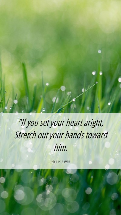 Picture 06 - Job 11:13 WEB Mobile Phone Wallpaper - 