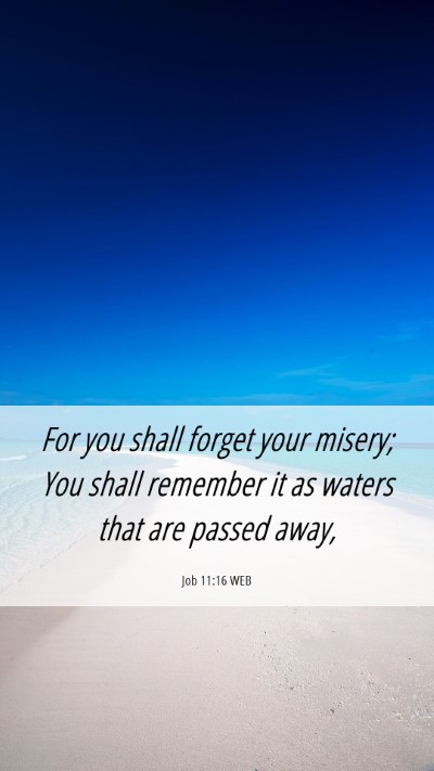 Picture 06 - Job 11:16 WEB Mobile Phone Wallpaper - For you shall forget your misery; You shall - Mobile Bible Verse Wallpaper