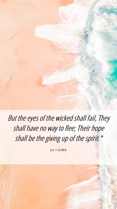 Picture 06 - Job 11:20 WEB Mobile Phone Wallpaper - But the eyes of the wicked shall fail, They shall - Mobile Bible Verse Wallpaper