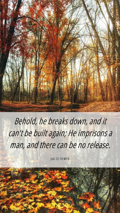 Picture 06 - Job 12:14 WEB Mobile Phone Wallpaper - Behold, he breaks down, and it can't be built - Mobile Bible Verse Wallpaper