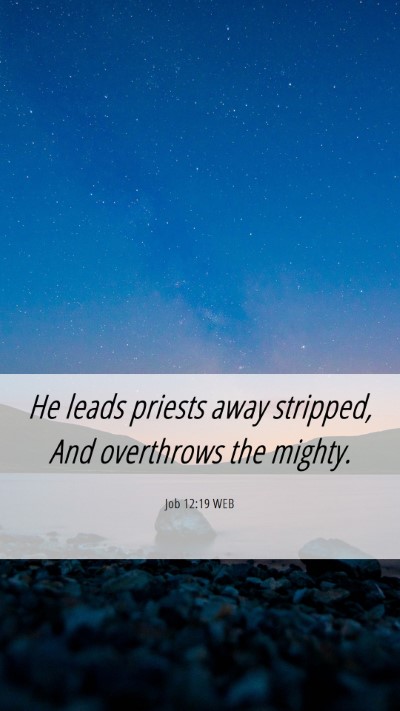 Picture 06 - Job 12:19 WEB Mobile Phone Wallpaper - He leads priests away stripped, And overthrows - Mobile Bible Verse Wallpaper