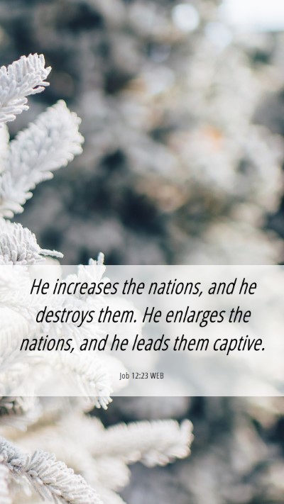 Picture 06 - Job 12:23 WEB Mobile Phone Wallpaper - He increases the nations, and he destroys them. - Mobile Bible Verse Wallpaper