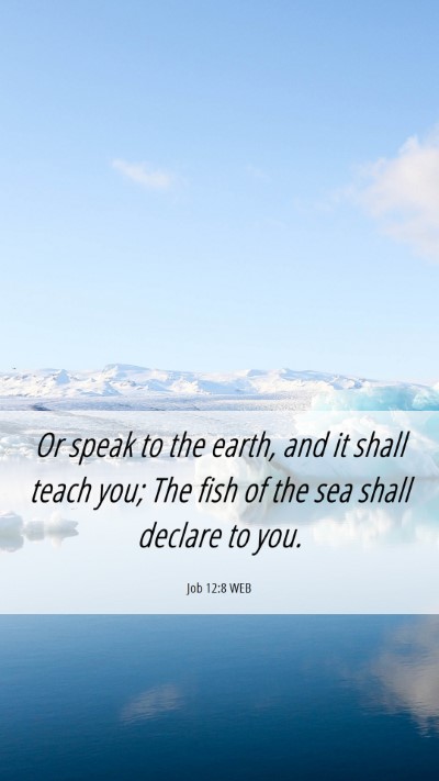 Picture 06 - Job 12:8 WEB Mobile Phone Wallpaper - Or speak to the earth, and it shall teach you; - Mobile Bible Verse Wallpaper