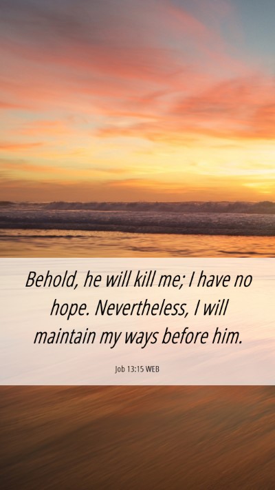 Picture 06 - Job 13:15 WEB Mobile Phone Wallpaper - Behold, he will kill me; I have no hope. - Mobile Bible Verse Wallpaper