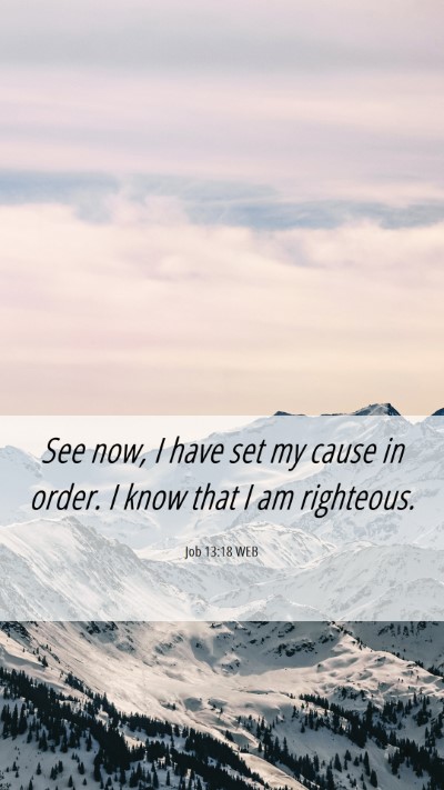 Picture 06 - Job 13:18 WEB Mobile Phone Wallpaper - See now, I have set my cause in order. I know - Mobile Bible Verse Wallpaper