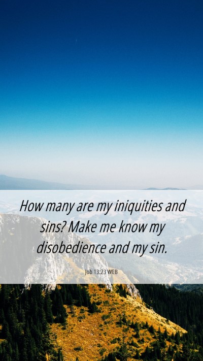 Picture 06 - Job 13:23 WEB Mobile Phone Wallpaper - How many are my iniquities and sins? Make me know - Mobile Bible Verse Wallpaper