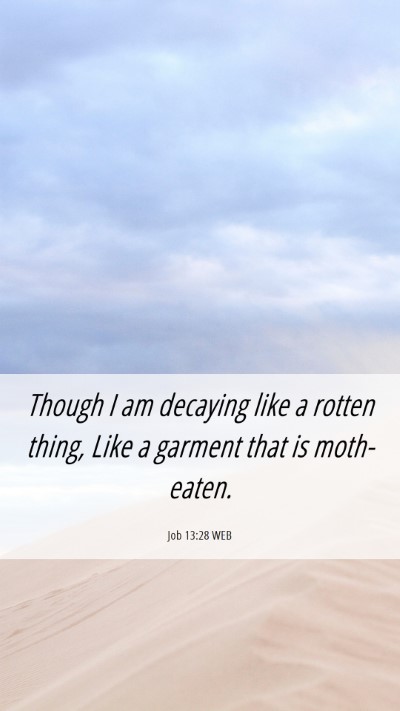 Picture 06 - Job 13:28 WEB Mobile Phone Wallpaper - Though I am decaying like a rotten thing, Like a - Mobile Bible Verse Wallpaper