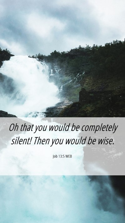 Picture 06 - Job 13:5 WEB Mobile Phone Wallpaper - Oh that you would be completely silent! Then you - Mobile Bible Verse Wallpaper