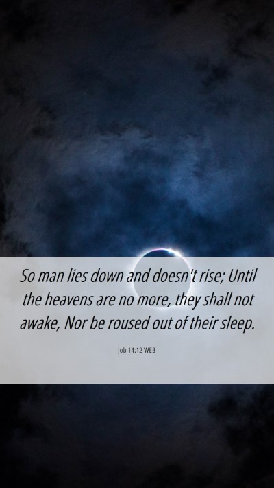 Picture 06 - Job 14:12 WEB Mobile Phone Wallpaper - So man lies down and doesn't rise; Until the - Mobile Bible Verse Wallpaper