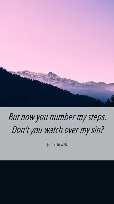 Picture 06 - Job 14:16 WEB Mobile Phone Wallpaper - But now you number my steps. Don't you watch over - Mobile Bible Verse Wallpaper