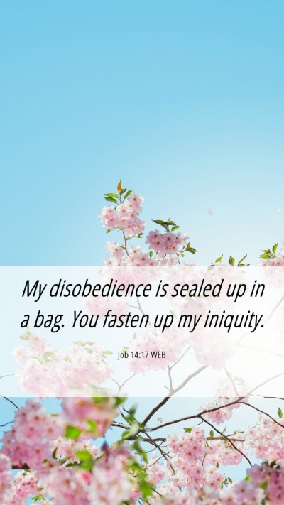 Picture 06 - Job 14:17 WEB Mobile Phone Wallpaper - My disobedience is sealed up in a bag. You fasten - Mobile Bible Verse Wallpaper