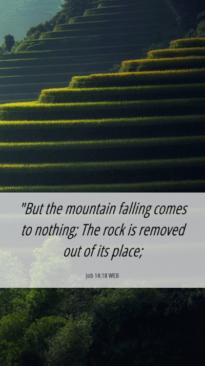 Picture 06 - Job 14:18 WEB Mobile Phone Wallpaper - 
