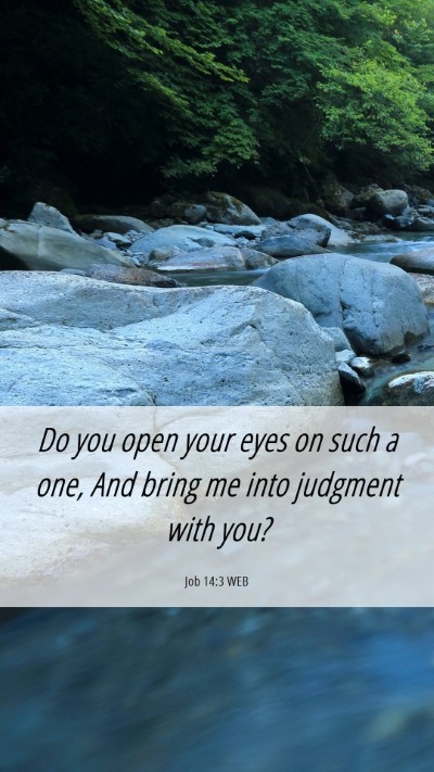 Picture 06 - Job 14:3 WEB Mobile Phone Wallpaper - Do you open your eyes on such a one, And bring me - Mobile Bible Verse Wallpaper