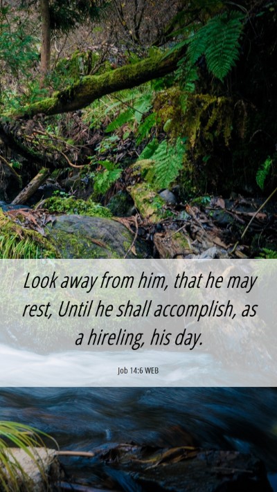 Picture 06 - Job 14:6 WEB Mobile Phone Wallpaper - Look away from him, that he may rest, Until he - Mobile Bible Verse Wallpaper