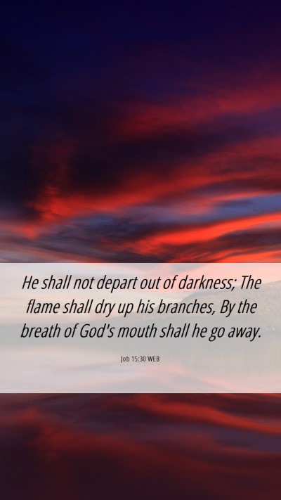 Picture 06 - Job 15:30 WEB Mobile Phone Wallpaper - He shall not depart out of darkness; The flame - Mobile Bible Verse Wallpaper