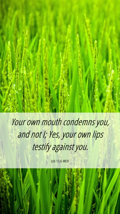 Picture 06 - Job 15:6 WEB Mobile Phone Wallpaper - Your own mouth condemns you, and not I; Yes, your - Mobile Bible Verse Wallpaper