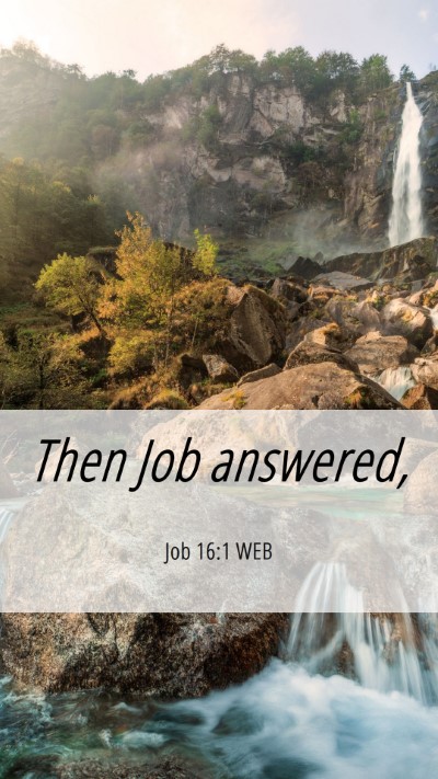 Picture 06 - Job 16:1 WEB Mobile Phone Wallpaper - Then Job - Mobile Bible Verse Wallpaper