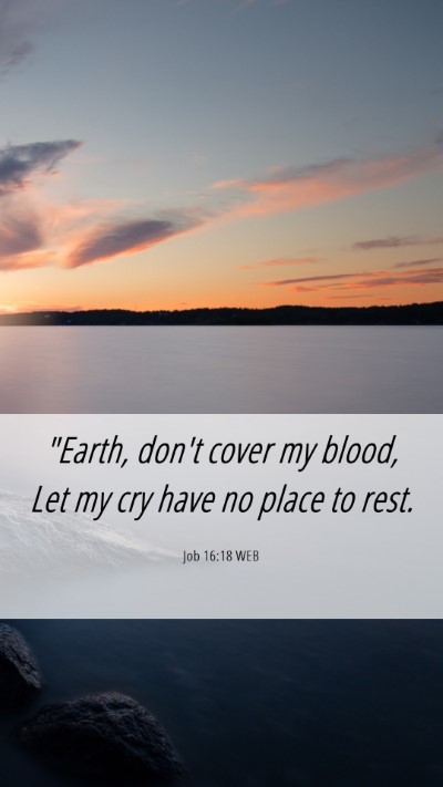 Picture 06 - Job 16:18 WEB Mobile Phone Wallpaper - 