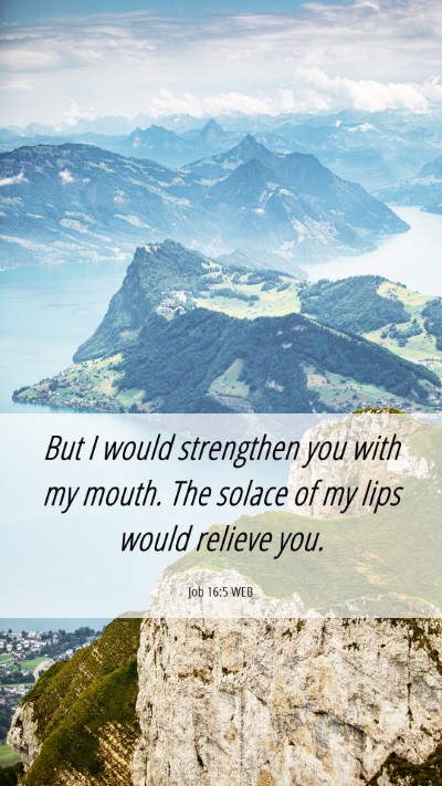 Picture 06 - Job 16:5 WEB Mobile Phone Wallpaper - But I would strengthen you with my mouth. The - Mobile Bible Verse Wallpaper