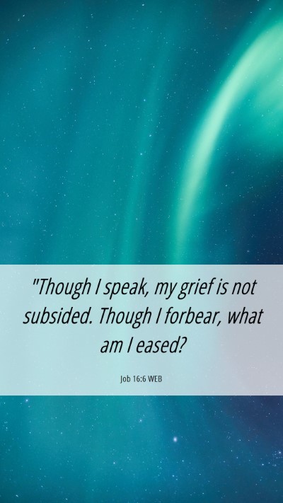 Picture 06 - Job 16:6 WEB Mobile Phone Wallpaper - 