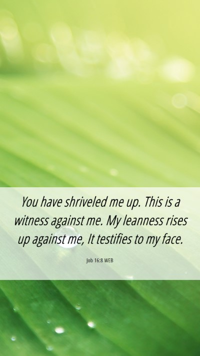 Picture 06 - Job 16:8 WEB Mobile Phone Wallpaper - You have shriveled me up. This is a witness - Mobile Bible Verse Wallpaper