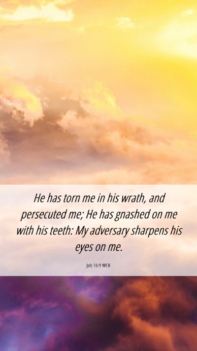 Picture 06 - Job 16:9 WEB Mobile Phone Wallpaper - He has torn me in his wrath, and persecuted me; - Mobile Bible Verse Wallpaper
